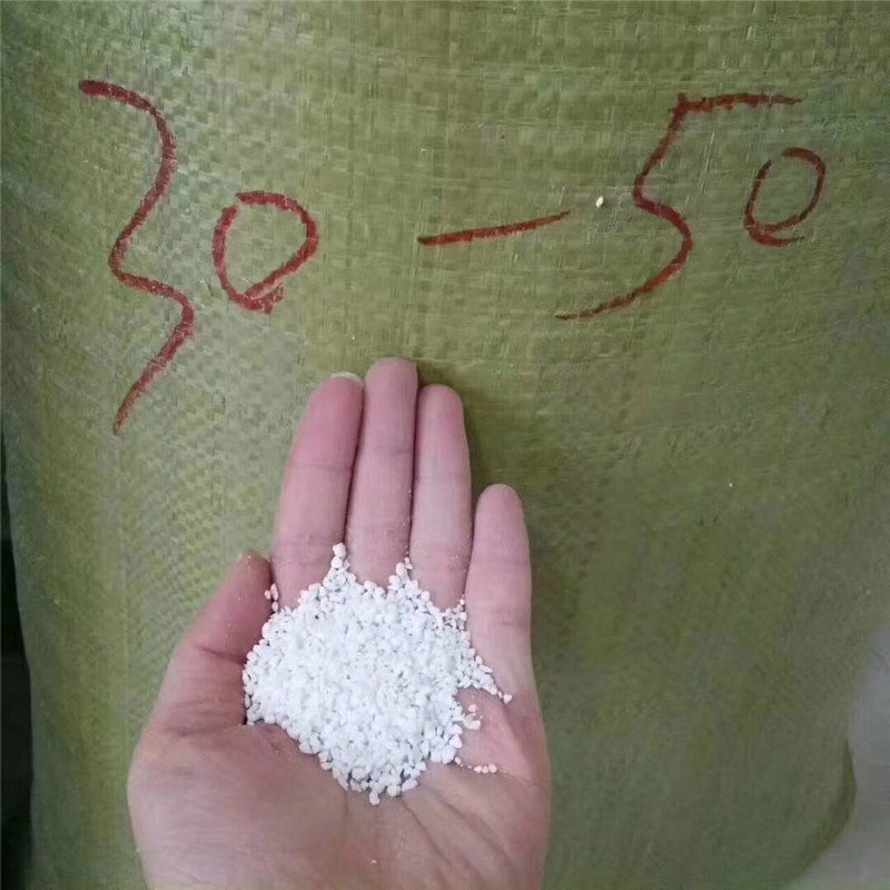 1575252115383204.jpg